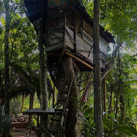 Sitio Simple Life Bed & Breakfast Ubatuba Dış mekan fotoğraf